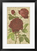 Roses II Fine Art Print