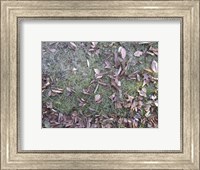 Grass & Leaves Camo Fine Art Print