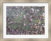 Grass & Leaves Camo Fine Art Print