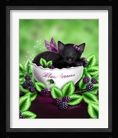 Blackberry Kitten Framed Print