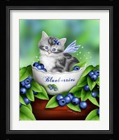 Blueberry Kitten Framed Print