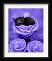 Lilac Daydreams Framed Print