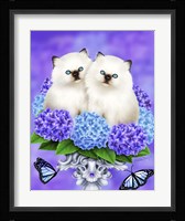 The Cats of Spring Framed Print