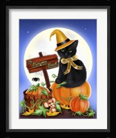 The Pumpkin Patch Framed Print