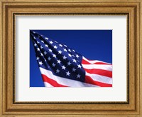 American Flag Waving in the Wind Fine Art Print