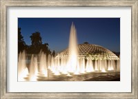 Bloedel Conservatory, Queen Elizabeth Park Fine Art Print