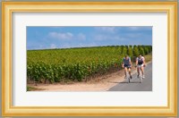 Cyclists in Vineyards of Cote des Blancs Fine Art Print