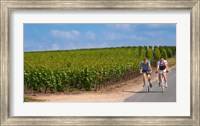 Cyclists in Vineyards of Cote des Blancs Fine Art Print