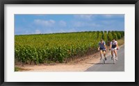Cyclists in Vineyards of Cote des Blancs Fine Art Print
