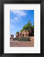 Bay of Fundy Hopewell Rocks Fine Art Print