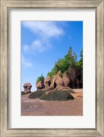 Bay of Fundy Hopewell Rocks Fine Art Print