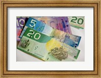 Money, Canadian Currency Fine Art Print