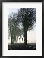 Country Road in Morning Mist Fine Art Print
