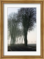 Country Road in Morning Mist Fine Art Print