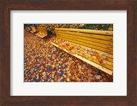 Quebec City Park Bench in Fall Fine Art Print