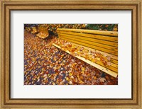 Quebec City Park Bench in Fall Fine Art Print