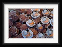 Trouville Fish Market, Calvados, France Fine Art Print
