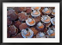Trouville Fish Market, Calvados, France Fine Art Print