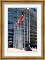Union Parliament and flags, Strasbourg, France Fine Art Print