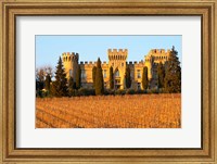Vineyard with Syrah Vines and Chateau des Fines Roches Fine Art Print