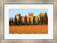 Vineyard with Syrah Vines and Chateau des Fines Roches Fine Art Print