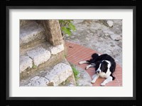 Eze-Village, Cote d'Azur, France Fine Art Print