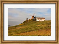 Windmill and Vineyards Fine Art Print
