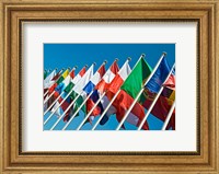 International Flags Fine Art Print