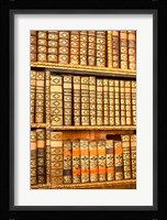Austria, Melk Abbey library Fine Art Print