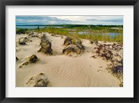 Sandy Beach Fine Art Print