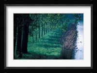 Burgundy Canal, Burgundy, France Fine Art Print