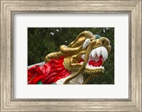 Chinese Dragonboat Fine Art Print