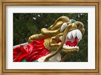 Chinese Dragonboat Fine Art Print