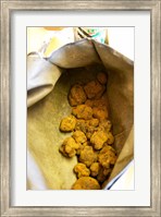 Truffle Harvest at La Truffe de Ventoux Truffle Farm Fine Art Print