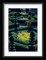 Garden at Villandry Chateau in France Fine Art Print