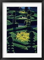 Garden at Villandry Chateau in France Fine Art Print