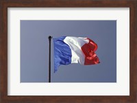 French Flag Fine Art Print