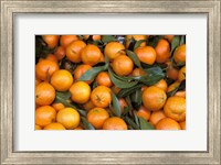 Oranges, Nasch Market, Austria Fine Art Print