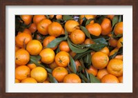 Oranges, Nasch Market, Austria Fine Art Print