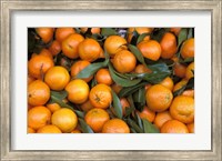 Oranges, Nasch Market, Austria Fine Art Print