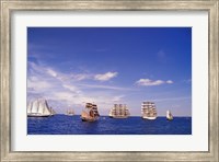 Tall Ships Race in Nova Scotia Fine Art Print