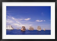 Tall Ships Race in Nova Scotia Fine Art Print