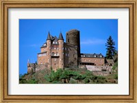 Castle, Rhine River, Germany Fine Art Print