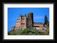 Castle, Rhine River, Germany Fine Art Print