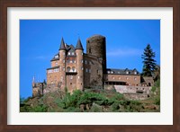 Castle, Rhine River, Germany Fine Art Print