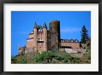 Castle, Rhine River, Germany Fine Art Print