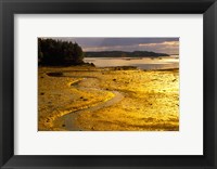 Tide at Sunset on Campobello Island Fine Art Print
