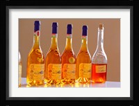 Bottles of Disznoko Winery, Tokaj, Hungary Fine Art Print