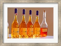 Bottles of Disznoko Winery, Tokaj, Hungary Fine Art Print