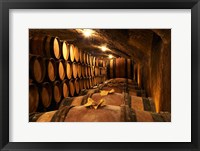 Wooden Barrels with Aging Wine in Cellar Fine Art Print